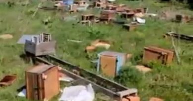 Tekirdağ’da kovanları kırıp 4 milyon arıyı telef ettiler