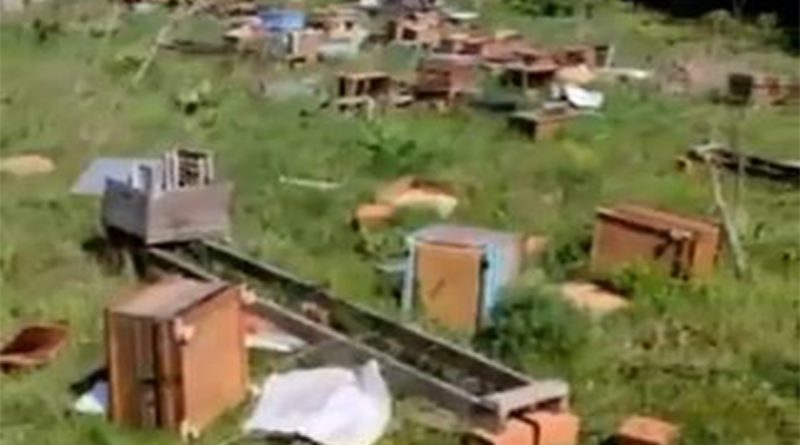 Tekirdağ’da kovanları kırıp 4 milyon arıyı telef ettiler