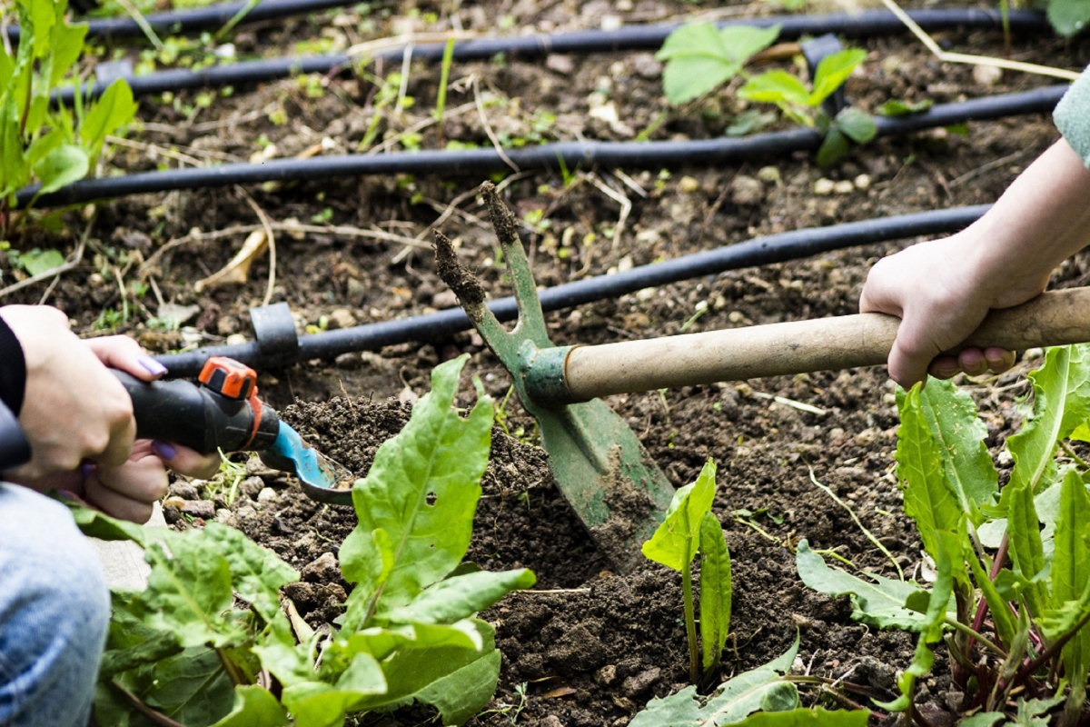 'Terasta Tarım' alanında öğrenciler ağırlanmaya devam ediliyor