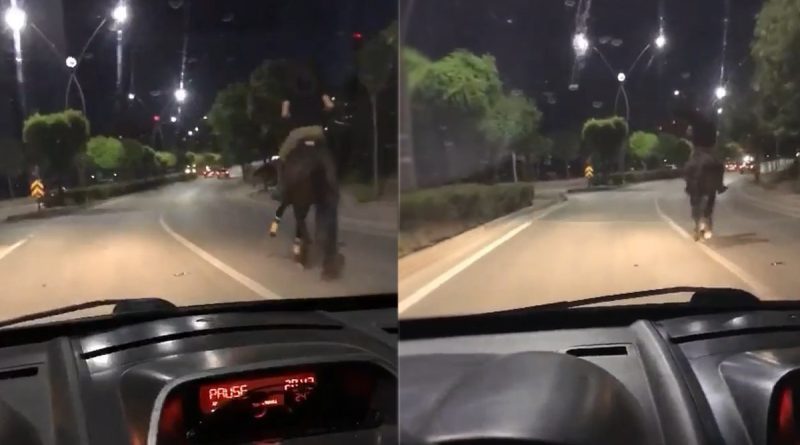 Trafikte atla yarıştı, araç sürücüsü ise spiker gibi anlattı