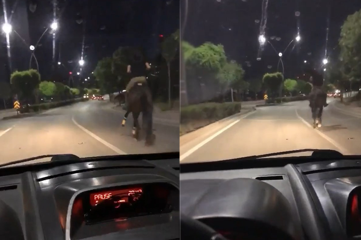 Trafikte atla yarıştı, araç sürücüsü ise spiker gibi anlattı