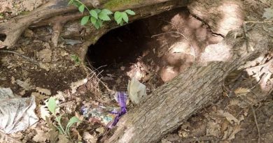 Tunceli’de çok sayıda mühimmat ve yaşam malzemesi ele geçirildi