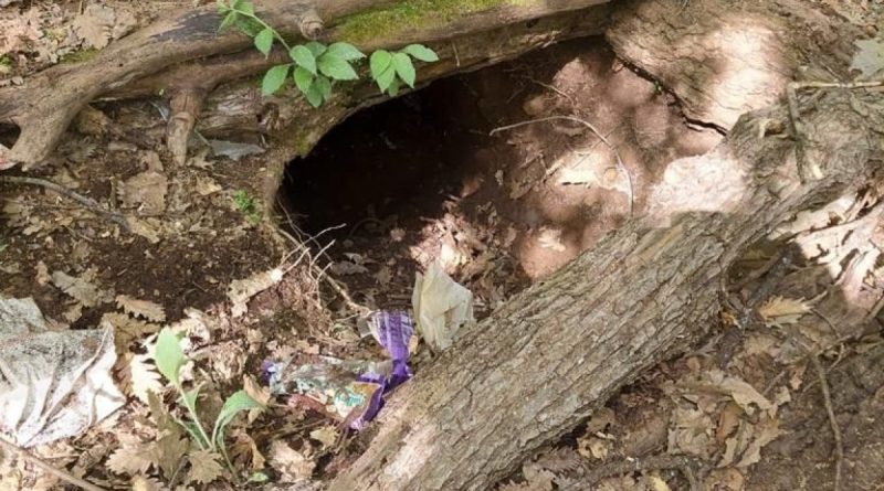 Tunceli’de çok sayıda mühimmat ve yaşam malzemesi ele geçirildi