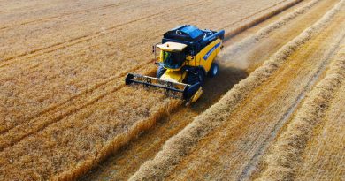 Ukrayna-Rusya savaşıyla önemi artan buğdayın Adana’da hasadı başladı