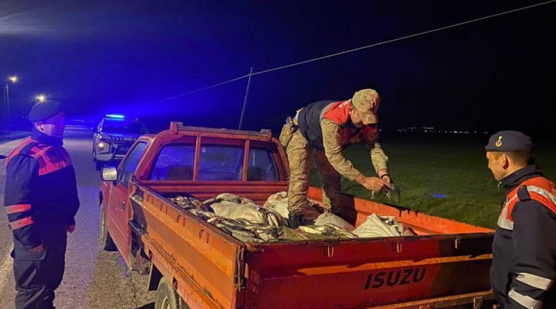Van’da kaçak avlanan 1 ton inci kefali ele geçirildi