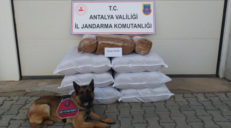 Yolcu otobüsünde 210 kilogram kaçak tütün ele geçirildi