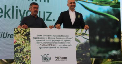 Yudum Egemden ve Tohum Derneği, yabani zeytin ağaçlarını ekonomiye kazandırıyor