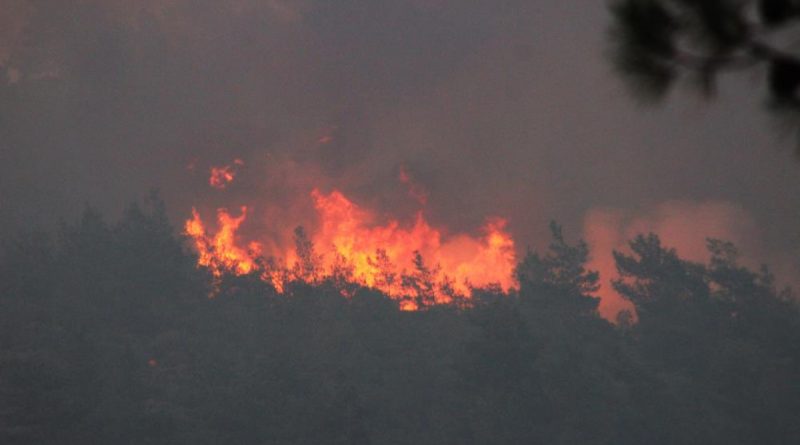 20 helikopter, 14 uçak ile müdahale başladı