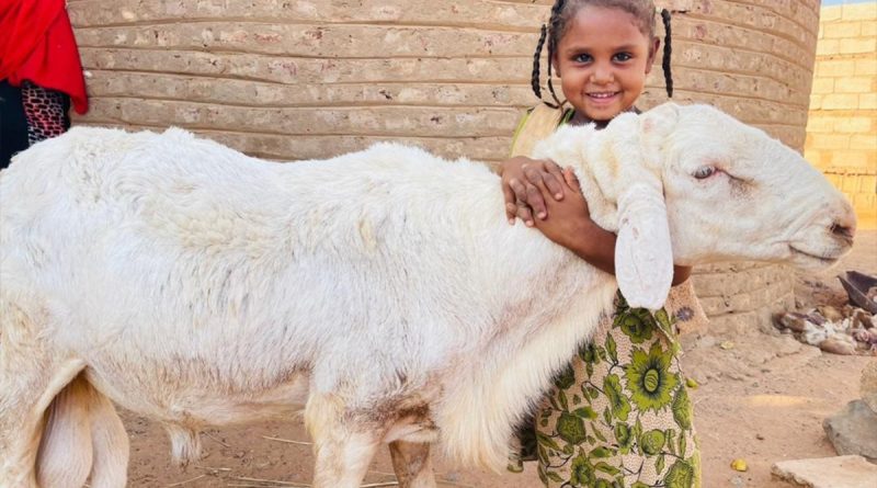 2022 yılı kurban vekalet ücretleri belli oldu