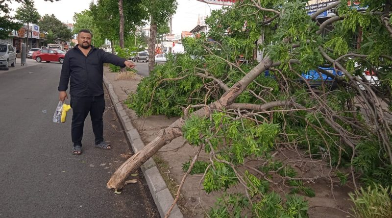 Afyonkarahisar’da olumsuz hava şartları devam ediyor
