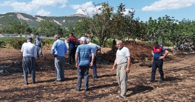 Anız yangınında 15 ton saman kül oldu