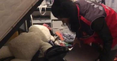 Araç kiralama operasyonunda 58 tutuklama