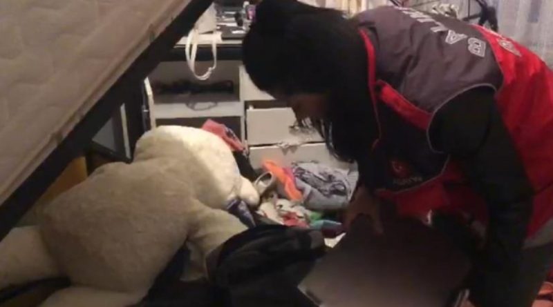 Araç kiralama operasyonunda 58 tutuklama