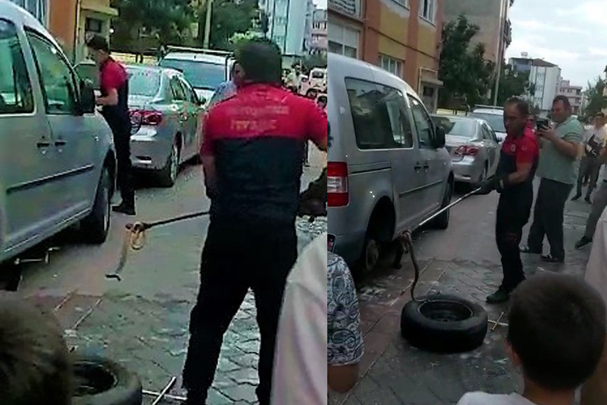 Araca giren yılan zor anlar yaşattı
