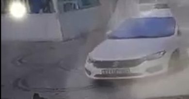 Aracını üzerine sürdüğü iki kediden birini öldüren vicdansız sürücü serbest kaldı