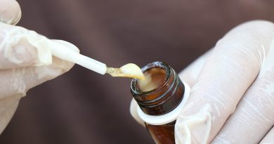 'Arı sütü' servet değerinde: Gramı 15, kilosu 15 bin TL