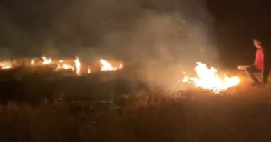 Arpa tarlasında çıkan yangın korkuttu