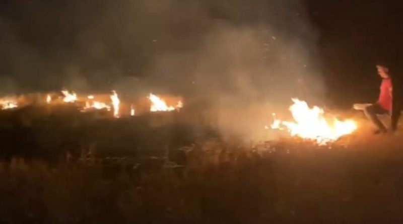 Arpa tarlasında çıkan yangın korkuttu