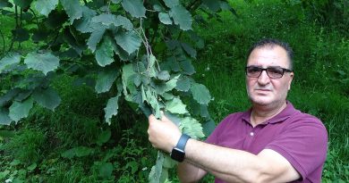 Arslantürk: 'Pandemi fındık tarımını bize yeniden öğretti'