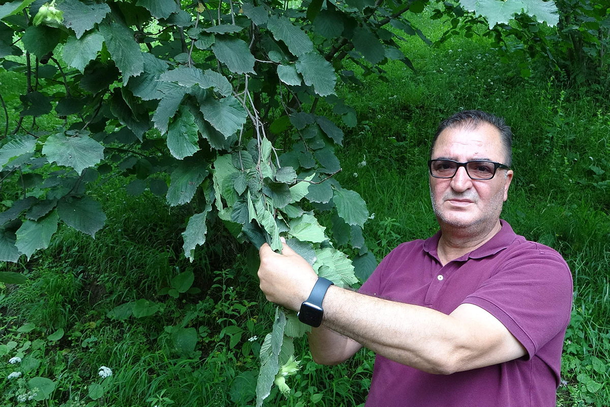 Arslantürk: 'Pandemi fındık tarımını bize yeniden öğretti'