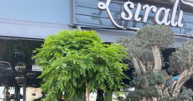 Babaanne yemekleriyle gelen dev bir marka