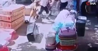 Başakşehir’de sahipsiz köpek çocuğa dehşeti yaşattı: O anlar kamerada