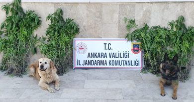 Başkent'te zehir tacirlerine darbe: 6 gözaltı