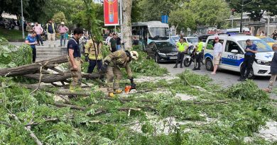 Beyoğlu’nda gövdesinden kırılan ağaç yola devrildi: 2’si turist 3 kişi yaralandı