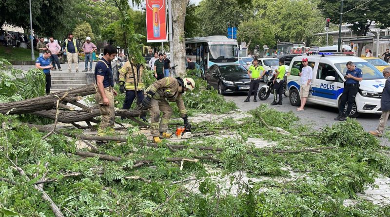 Beyoğlu’nda gövdesinden kırılan ağaç yola devrildi: 2’si turist 3 kişi yaralandı