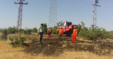 Bingöl’de çıkan orman yangını söndürüldü