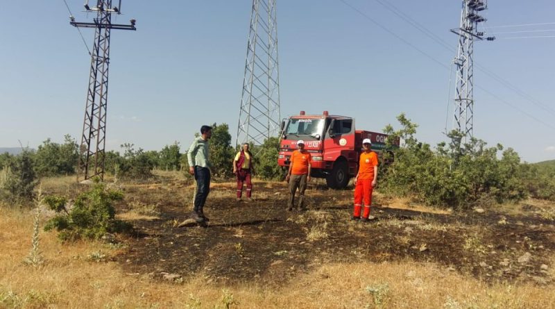 Bingöl’de çıkan orman yangını söndürüldü