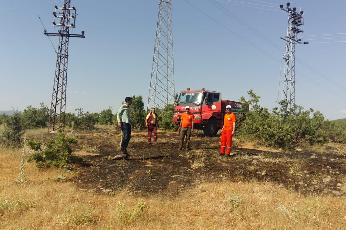 Bingöl’de çıkan orman yangını söndürüldü