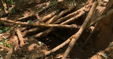 Bingöl’de teröristlere ait 4 adet sığınak ve patlayıcılar imha edildi