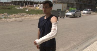 Bisikletiyle üniversiteye giden öğrenci sokak köpeklerinin saldırısına uğradı