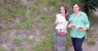 Bu çileğin kilosu 200 TL