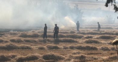 Buğday tarlasında çıkan yangın korkuttu