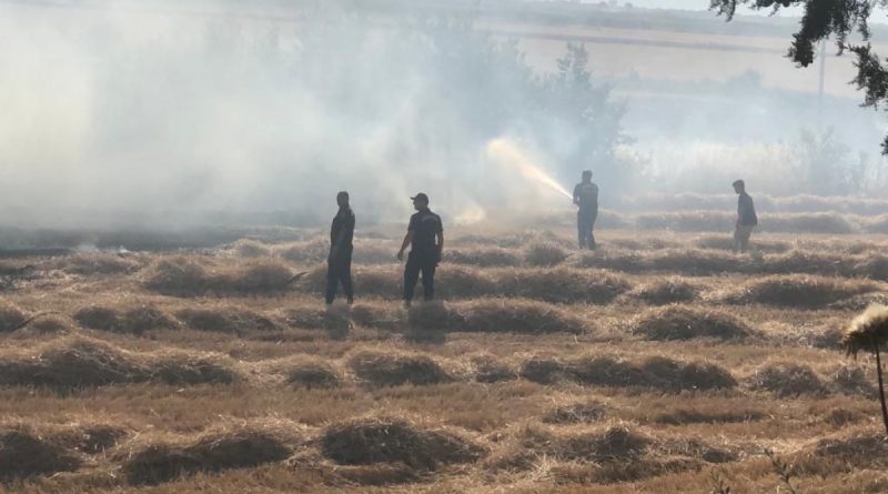 Buğday tarlasında çıkan yangın korkuttu