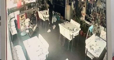 Bunlar da mangalcı hırsızlar