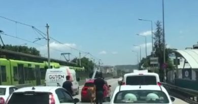 Bursa'da kaçan boğalar trafiği kilitledi
