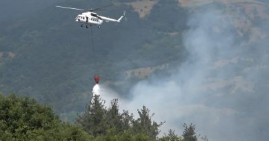 Bursa'da orman yangını