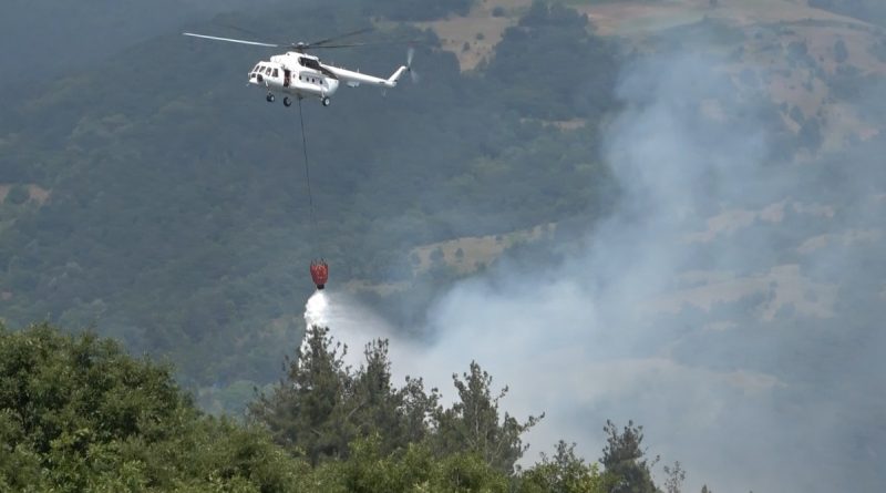 Bursa'da orman yangını