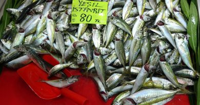 Çanakkale'de balık tezgahlarında fiyatlar arttı