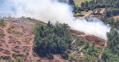 Çanakkale’de orman yangını