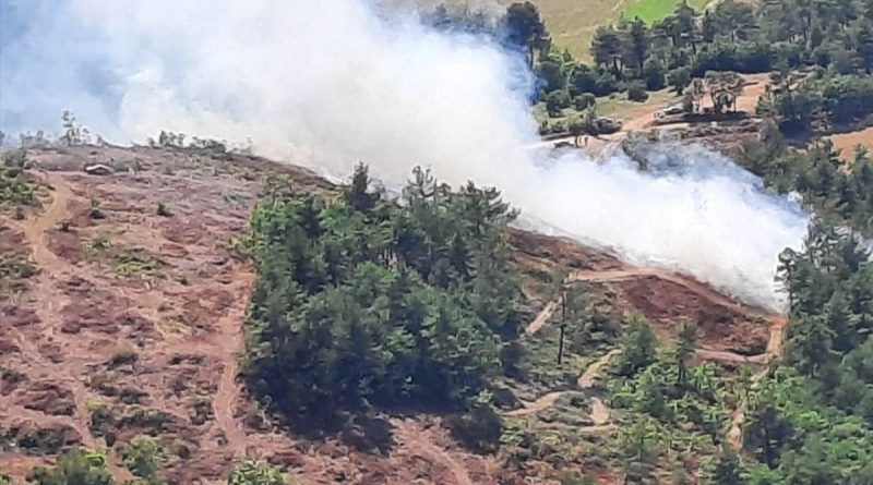 Çanakkale’de orman yangını