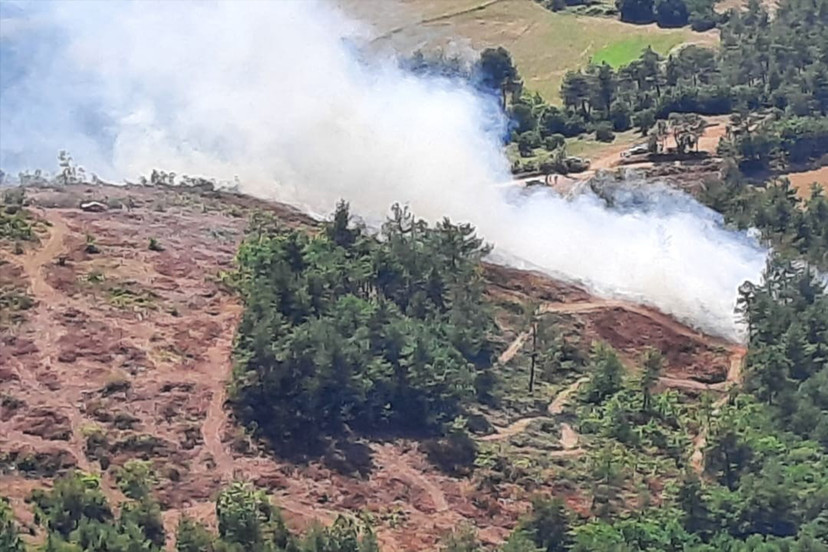 Çanakkale’de orman yangını