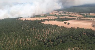 Çanakkale'de ziraat yangını ormana sıçradı