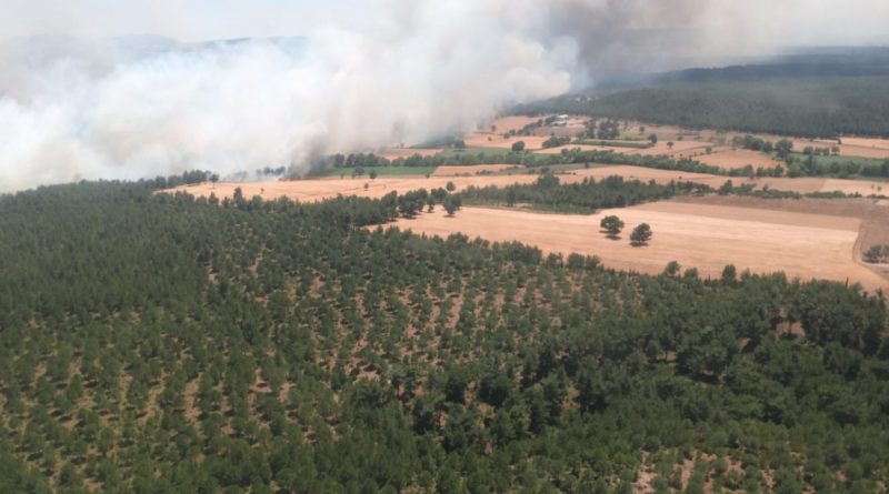 Çanakkale'de ziraat yangını ormana sıçradı