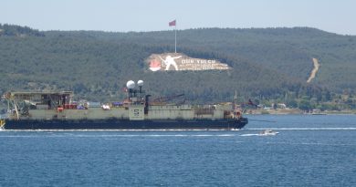 ‘Castoro 10’ isimli gemi Çanakkale Boğazı’ndan geçti