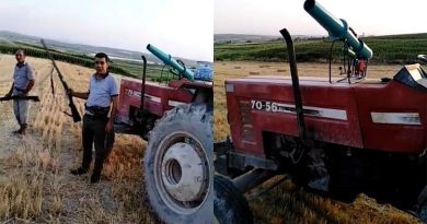 Çiftçiler ürünlerini domuzlardan korumak için silahla nöbet tutuyor