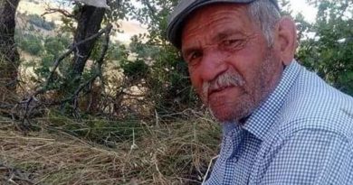 Çorum'da keneden 1 kişi daha öldü